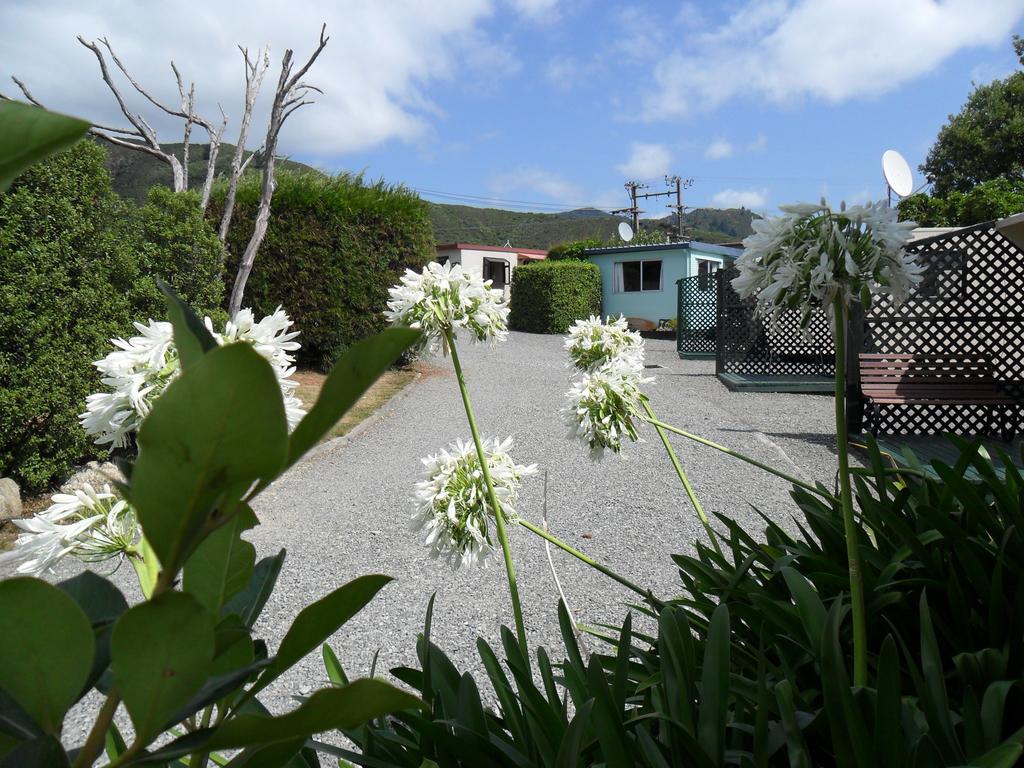 Picton'S Waikawa Bay Holiday Park Exterior foto